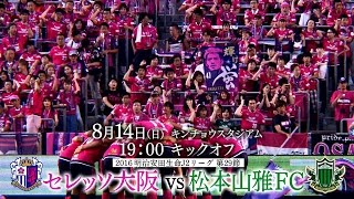 2016年8月14日松本山雅FC戦「この夏、最大の決戦‼」