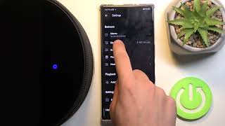 Bluesound Pulse M Speaker - How to Manage Sleep Timer