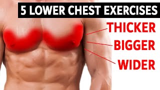 5 Lower Chest Exercises for Wider Chest !!