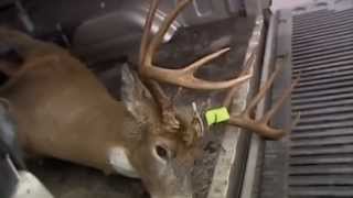 Wisconsin New Deer Hunting Regulations..