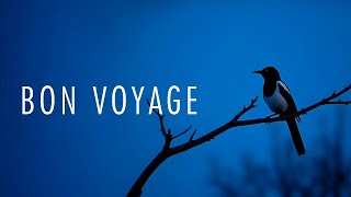 Erik Segel - Bon Voyage (Visualizer)