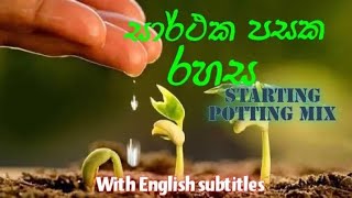 Gardening tips #2-සාර්ථක පසක රහස-ආරම්භක පස් මිශ්‍රනය-starting potting mix-with English subtitles .