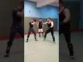 mirko cro cop high kick lesson