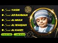 PEACEFUL RECITATION OF SURAH YASIN, SURAH AR RAHMAN, SURAH AL MULK, SURAH AL WAQIAH, SURAH AL KAHFI