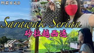 阿莉日记》Sarawak Serian砂拉越西连～早起的鸟儿有虫吃