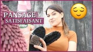 LE PANSAGE LE PLUS SATISFAISANT QUE TU AIES VU ! - Crinière coupée, graissage de pieds etc.