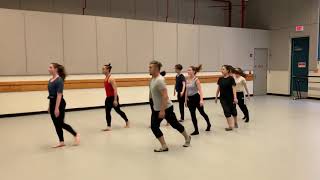 Aoi choreography -flocking