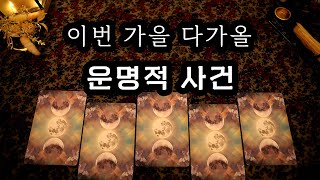 [타로] 올 가을, 다가올 운명적 사건