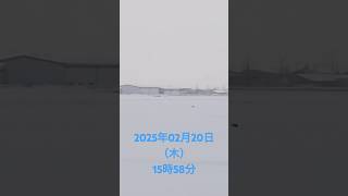 山形県寒河江市散歩にて撮影2025年02月20日（木）15時58分