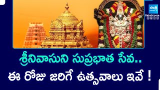 Srivari Suprabhata Seva Start : శ్రీనివాసుని సుప్రభాత సేవ..ఈ రోజు జరిగే ఉత్సవాలు ఇవే ! | @SakshiTV