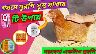 গরমে মুরগী সুস্থ রাখার ৭ টি উপায় || মরবেনা একটা ও মুরগি |