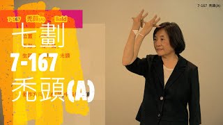 臺灣手語語料彙整【禿頭A】7 167