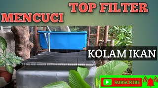 MENCUCI TOP FILTER KOLAM IKAN TILAPAI.