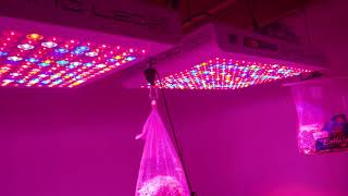 Kind LED K5 Series 3K watt grow