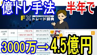 億トレ直伝！半年で3000万→4.5億円にした倍ナンピン手法