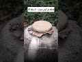 لحظه باز کردن خمره شراب 500 ساله 🍷 👆🏻opening a 500 year old wine 🍷