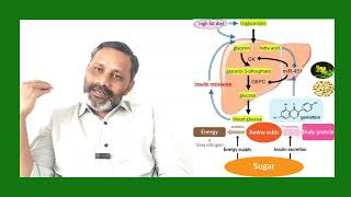 keto diet లేదా vrk డైట్ తో క్యాన్సర్ తగ్గుతుందా? గ్లూకోజ్ starve చేసి కేన్సర్ కణాలను చంపటం సాధ్యామా?