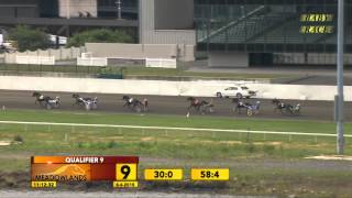 Meadowlands Baby Race #9 - June 6, 2015 - Sonoma Valley