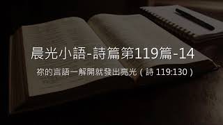 晨光小語 詩篇「第119篇」 14