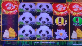 Panda Magic Dragón Link Good Bonus