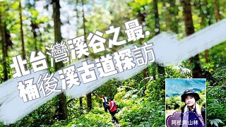 桶后越嶺步道 桶後林道越嶺 烏來孝義 登山步道 2020.7.29/13K6H