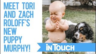 Meet Tori and Zach Roloff's New Puppy Murphy!