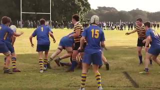 Waverley College 2nd XV CAS undefeated premiers 2019