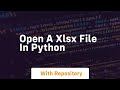 open a xlsx file in python
