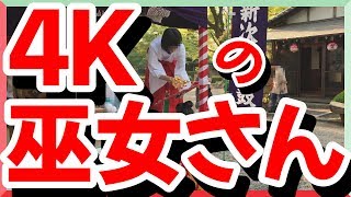 【太閤祭】巫女さんがシャンシャンするだけの動画【4K30fps】