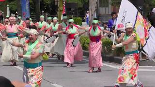 「花びより～あかさたな～」YOSAKOIソーラン日本海彦根三十五万石2018/6/17(日)【市役所前通りパレード (10：04)】