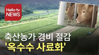 양질의 축산농가 사료 확보