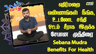 எதிர்மறை எண்ணங்கள் நீங்க, உடலோட சக்தி ஓட்டம் சீராக இருக்க.! - சேபான முத்திரை | Sebana Mudra Benefits