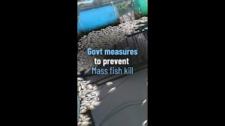 Measures to prevent recurrence of Periyar River mass fish kill