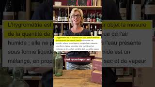 Pourquoi mettre du gravier dans une cave à vin ? #shorts #boxvin #vin