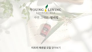 만능 아이템! 영리빙 티트리 에센셜 오일