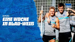 HaHoHe - Eine Woche in Blau-Weiß | 5. Spieltag | Hertha BSC vs. Greuther Fürth