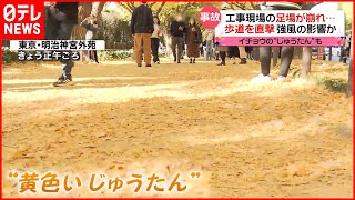 【強風の影響か】神宮外苑“黄色いじゅうたん”  工事現場は足場崩壊