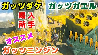 【ティアキン】ガッツダケ・ガッツガエル・ガッツニンジン オススメの入手場所 馬の強化がはかどる！| Zelda TOTK | ゼルダの伝説 ティアーズオブザキングダム