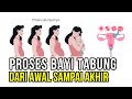 Proses Bayi Tabung dari Awal Sampai Akhir