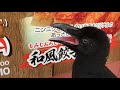 i caught a baby crow in osaka カラス 日本 大阪 都市探査 廃墟