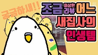 사랑앵무 ] 어느 새집사의 인생템 (Budgerigar,インコ)