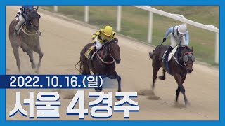 (서울) 22.10.16 4R 소리 질러!!~~ 직선주로 불꽃 파워접전! 퍼펙트건맨VS고마나루