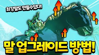 최강 말도 만들수있는! 말 업그레이드 하는 방법![젤다왕눈]