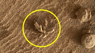 NASA Rover Curiosity Finds Unusual Structures on Mars!