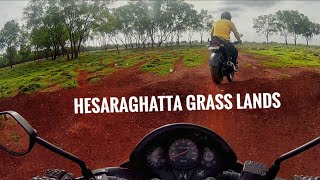 Hessarghatta grasslands