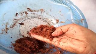 How to make Coco-peat At Home / Gardening tips & tricks // Mammal Bonsai ( Hindi) How to make Coco-peat At Home / Gardening tips & tricks // Mammal Bonsai ( Hindi)