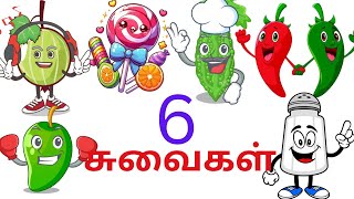 6 சுவைகள்  /6 வகையான சுவைகள் types of tastes @lachukidstv2024 #lachukids tv #tastes of foods