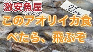 令和6年10月26日の激安魚屋@福井県敦賀市相木魚問屋