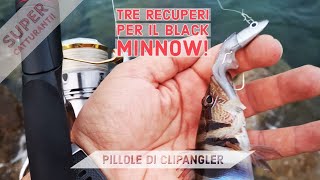 BLACK MINNOW Tre tipi di recupero MOLTO CATTURANTI! Movimenti e qualche dritta - clipangler