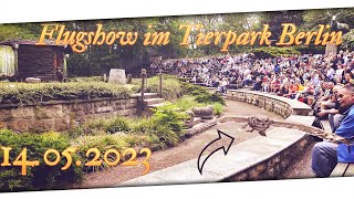 Flugshow im Tierpark Berlin - 14.05.2023 - 4K ᵁᴴᴰ 60ᶠᵖˢ ✅